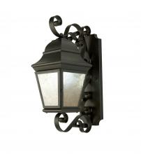 Meyda Green 146461 - 9" Wide Albertus Wall Sconce