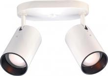 Directional Flush Mounts