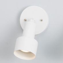 Directional Light Sconces