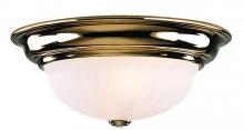 Dolan Designs 521-14 - 1Lt Flushmount