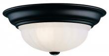 Dolan Designs 522-30 - Richland 2Lt Flushmount Royal Bronze
