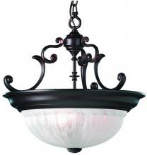Dolan Designs 527-30 - Richland 3Lt Pendant Royal Bronze