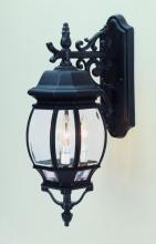 Trans Globe 4054 BK - 3LT WALL-OUTD-MED-DOWN-FRENCH
